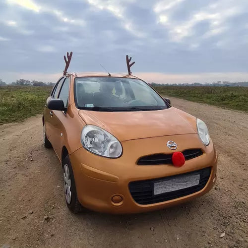 Set Rogova Jelena i Crvenog Nosića za Automobil